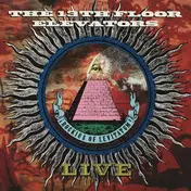 The 13th Floor Elevators - Live - I've Seen Your Face Before