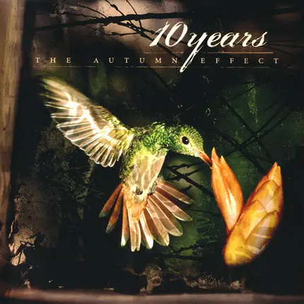 10 Years - The Autumn Effect
