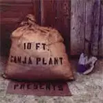 10 Ft. Ganja Plant - Presents