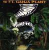 LP - 10 Ft. Ganja Plant - Hillside Airstrip