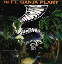 LP - 10 Ft. Ganja Plant - Hillside Airstrip