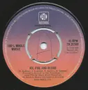 7inch Vinyl Single - 100% Whole Wheat - Ice, Fire And Desire - Push Out Centre