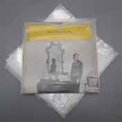 10inch/ Schellack Schutzhuellen / PE - 10 Stück / Standard