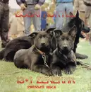 LP - 13 + 1 Zenekar - Bodri Koktél (Presszó Rock)