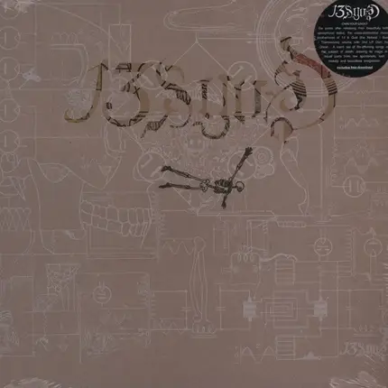 13 & God - Own Your Ghost