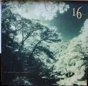 16 Tambourines - How Green Is Your Valley ?