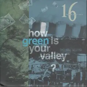 16 Tambourines - How Green Is Your Valley?