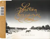 16 Horsepower - Coal Black Horses