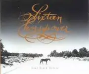 CD - 16 Horsepower - Coal Black Horses - Maxi-Single