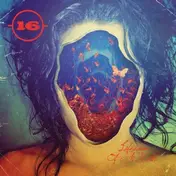 16 - Lifespan of a Moth