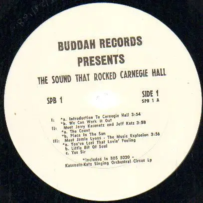 1910 Fruitgum Company, The Ohio Express, The Music Explosion a.o. - The Sound That Rocked Carnegie Hall