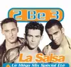12inch Vinyl Single - 2 Be 3 - La Salsa