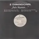12inch Vinyl Single - 2 Dimensional - Ach Komm...