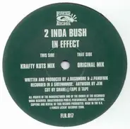 2 Inda Bush - In Effect