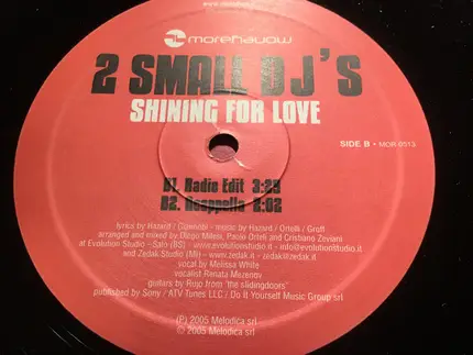 2 Small DJ's - Shining For Love