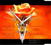 CD Single - 2 Young - Seasons In The Sun