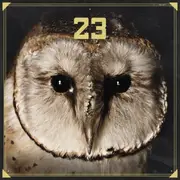 CD - 23 - 23