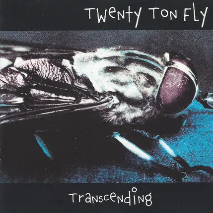 20 Ton Fly - Transcending
