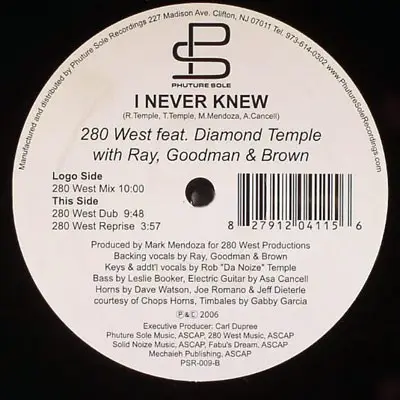280 West Feat. Diamond Temple With Ray, Goodman & Brown - I Never Knew
