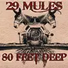 CD - 29 Mules - 80 Feet Deep
