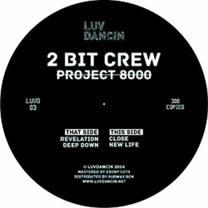 2 Bit Crew - Project 8000
