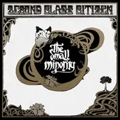 2econd class citizen - The Small Minority