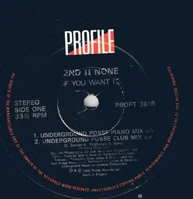 2nd ii none - If You Want It (Remixes)