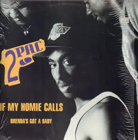 2Pac - If My Homie Calls / Brenda's Got A Baby