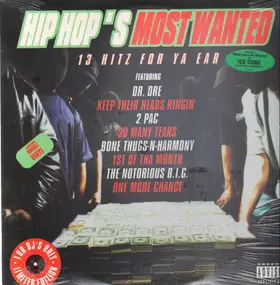 2Pac - Hip Hop's Most Wanted