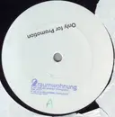 12inch Vinyl Single - 2raumwohnung - Wir Sind Die Anderen (Frühling 2007) - Promo - stamped