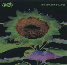 311 - You Wouldn't Believe