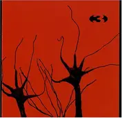 Planet Noise Records