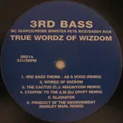 3rd Bass - True Wordz Of Wizdom