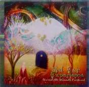 3rd Ear Experience - Incredible Good Fortune