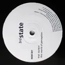 12inch Vinyl Single - 3rd State - Dunkin' / World Of Perception
