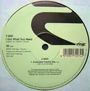 12inch Vinyl Single - T- Mid - I Got What You Need