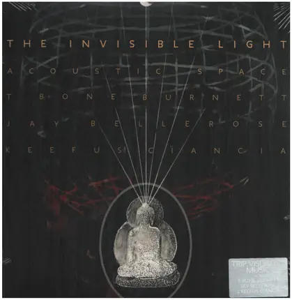 T-Bone Burnett / Jay Bellerose / Keefus Ciancia - The Invisible Light: Acoustic Space
