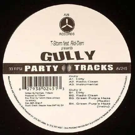 T-Storm - Gully