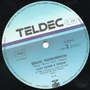 12inch Vinyl Single - T-Ski Valley - Sexual Rapping