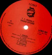 LP - T. T. Oksala - Radio Storm - RARE PROG/SYNTH FROM FINLAND