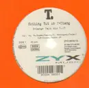 12'' - T. - Nothing But An F-Thang