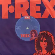 T. Rex - The Groover