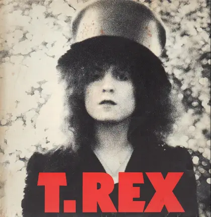 T. Rex - The Slider