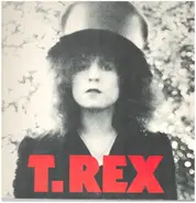 T-Rex - The Slider