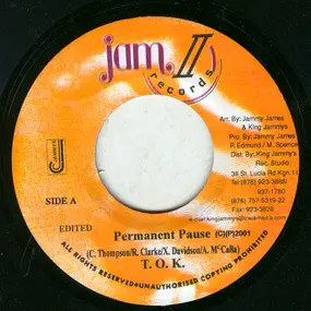 T.O.K - Permanent Pause