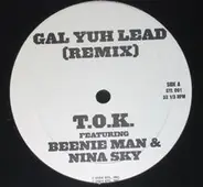 T.O.K. feat Beenie Man & Nina Sky - Gal Yuh Lead (Remix)