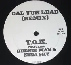 Nina Sky - Gal Yuh Lead (Remix)