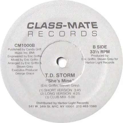 T.D. Storm - Feeling Without Touching