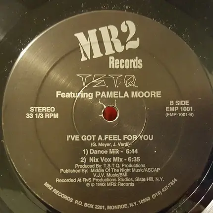 T.S.T.Q Featuring Pamela Moore - I've Got A Feel For You