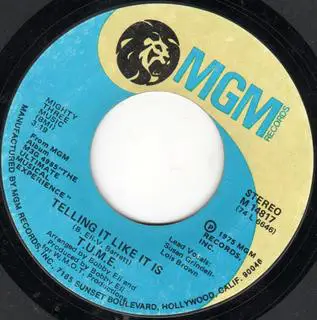 T.U.M.E. - Telling It Like It Is / You're Not Him